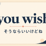 you wish の意味と使い方