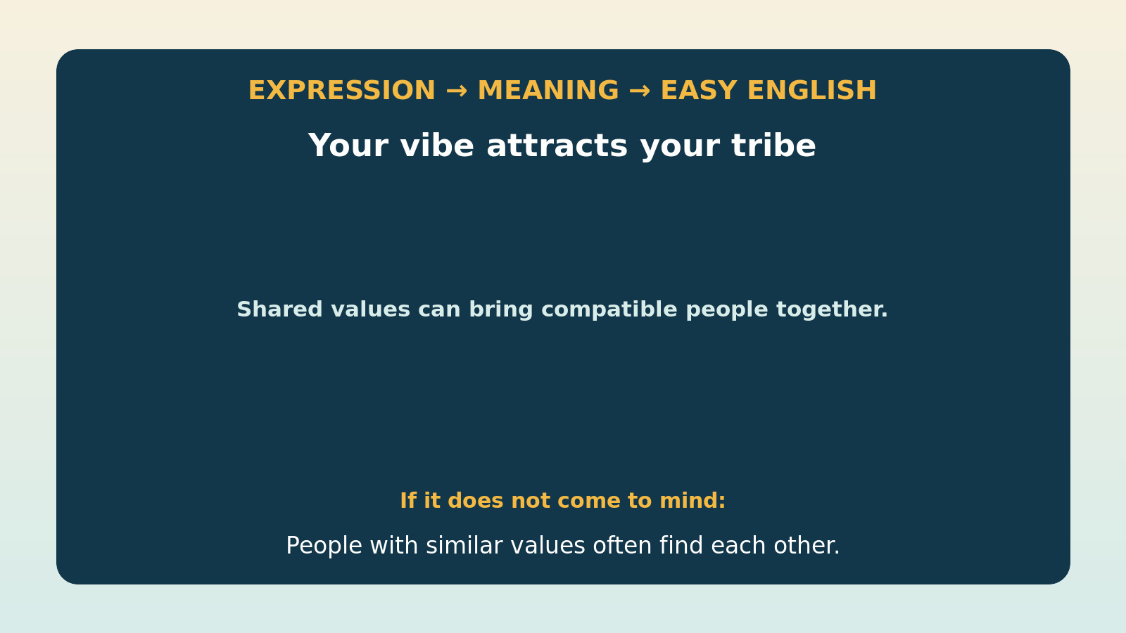 Your vibe attracts your tribeの直訳・本当の意味・簡単な言い換えの比較図