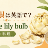 ゆり根とedible lily bulbのアイキャッチ