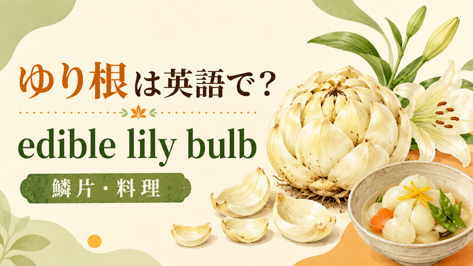 ゆり根は英語で何というかを解説するアイキャッチ