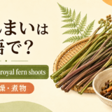 ぜんまいとroyal fern shootsのアイキャッチ