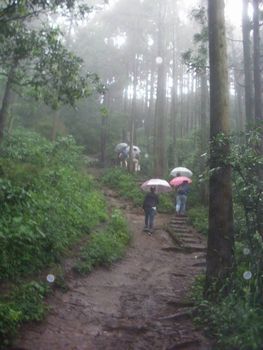 Hiking in Kamakura by Jacquelyn