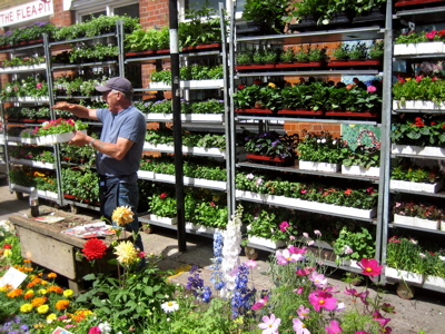 columbia-road-flower-market.jpg