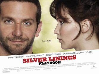 Silver Linings Playbook by Karina