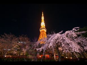 tokyotower.jpg