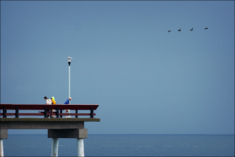 island_3_people_4_birds.jpg